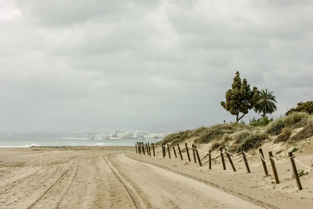 Pine-topped dunes and wooden posts on the beach near Cabopino