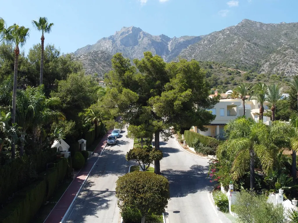 Lucas Fox: palm-lined avenue in Sierra Blanca, Marbella, with the mountains behind