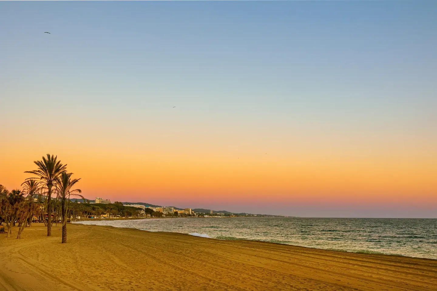 Palm trees on Marbella beach under an orange evening sky