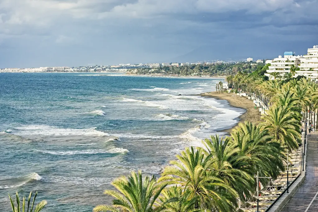 Palm-lined coastal road and surf along the Marbella shore