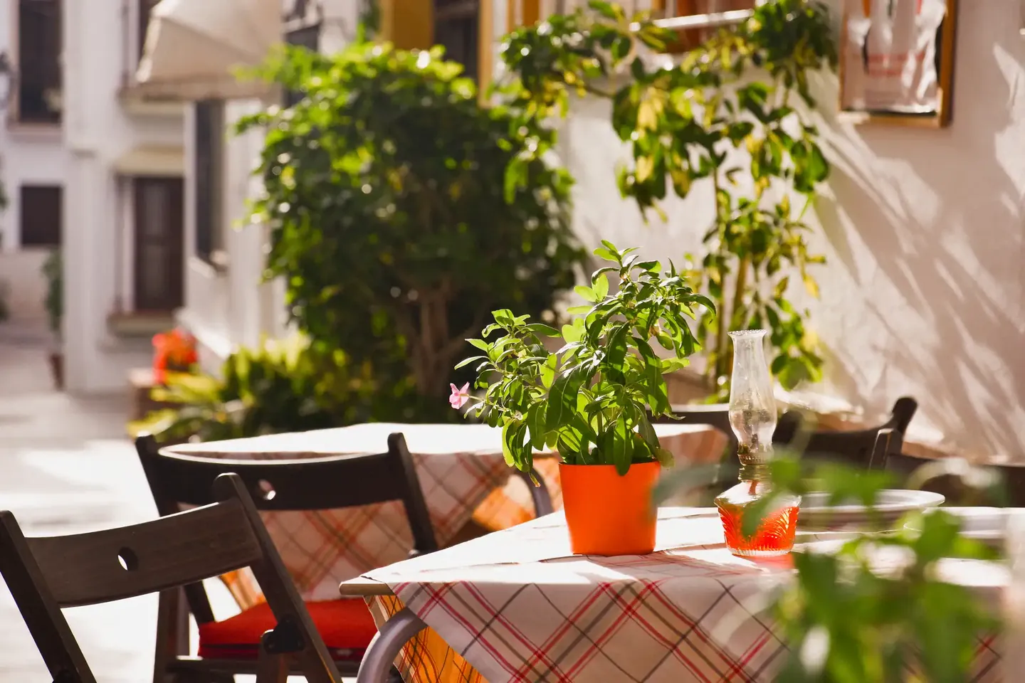 A café table with flowers on a sunny street in Marbella