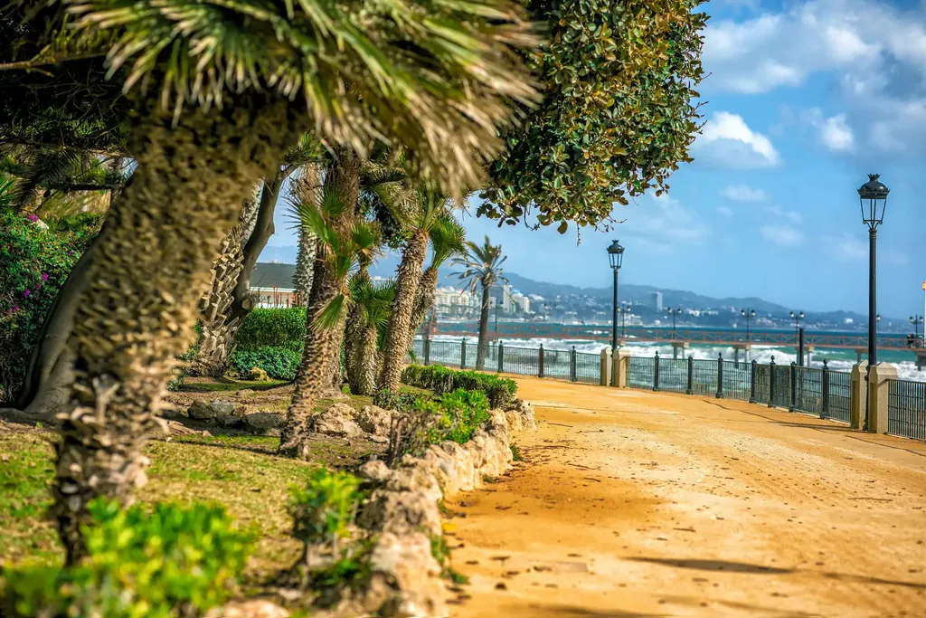 Shaded promenade under old palms and pines by the sea in Marbella